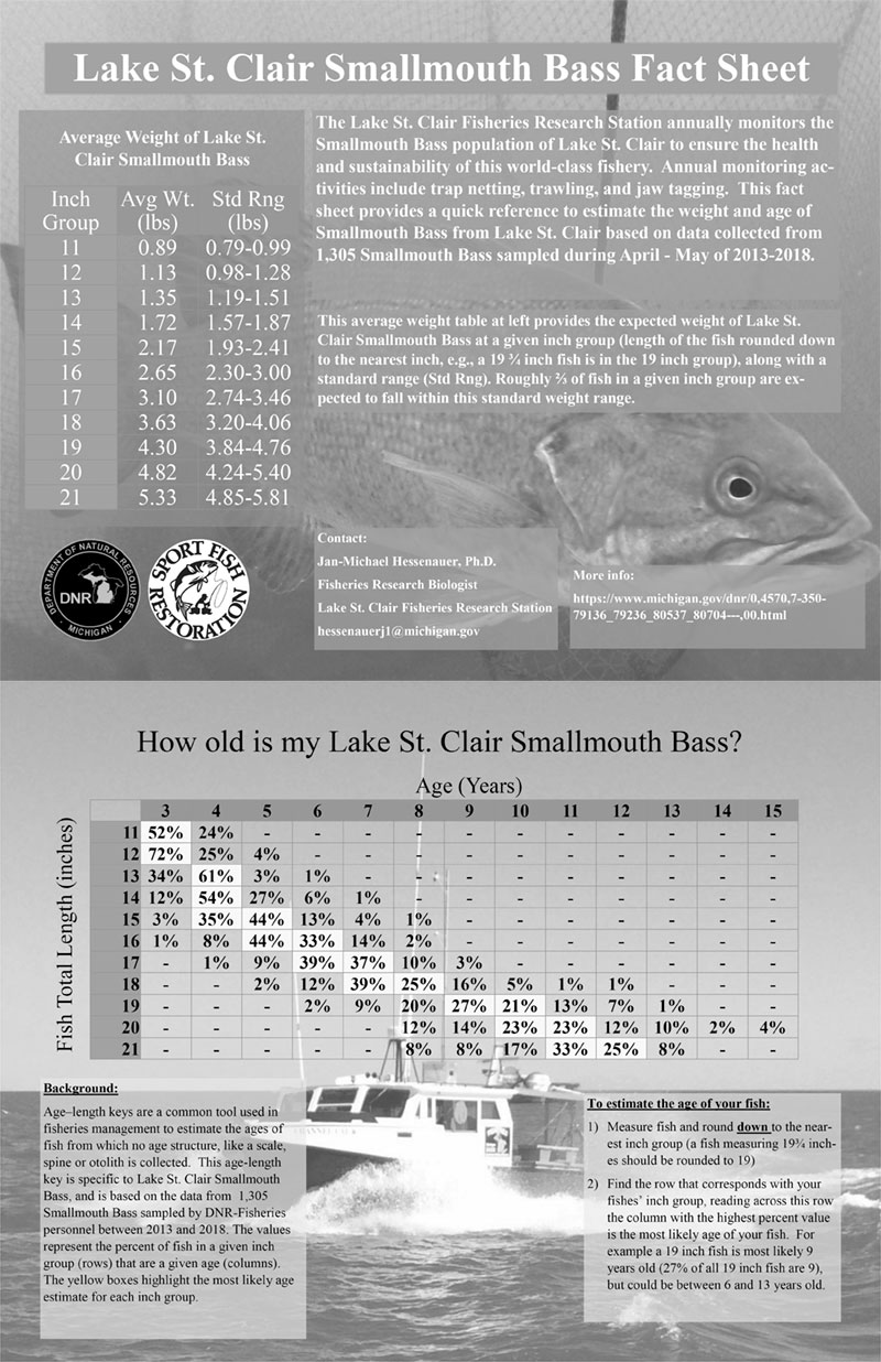Lake St. Clair Smallmouth Bass Fact Sheet