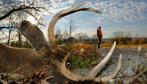 Stats Show Indiana Produces More Trophy Bucks