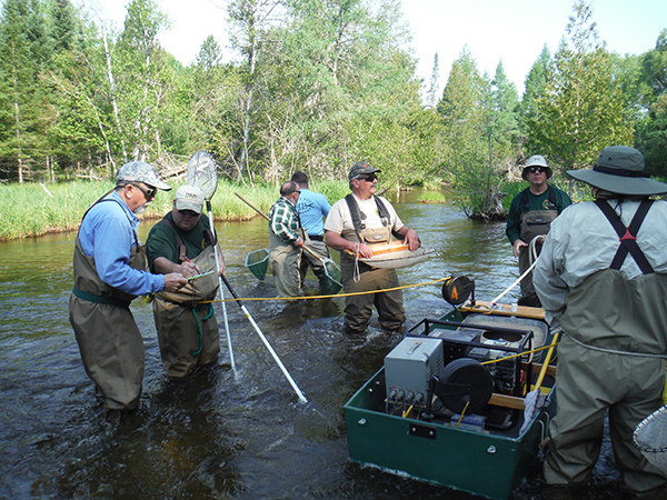 What Happened to the Au Sable North Branch Trout Population?