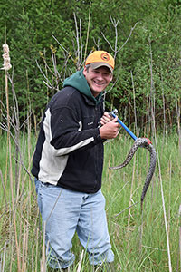 Michigan’s Rare Massasauga Rattlers are Prominent in Cass County 