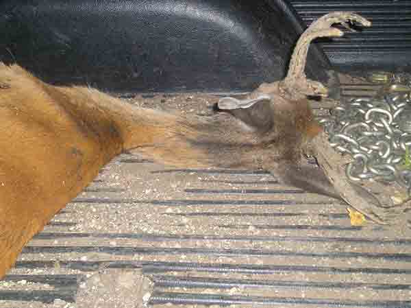 DNR Expands Chronic Wasting Disease Core Area and Management Zone