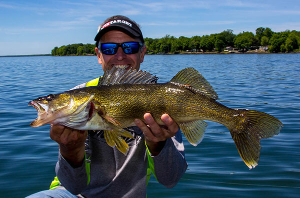 Target High-Percentage Transitions for Walleyes All Summer