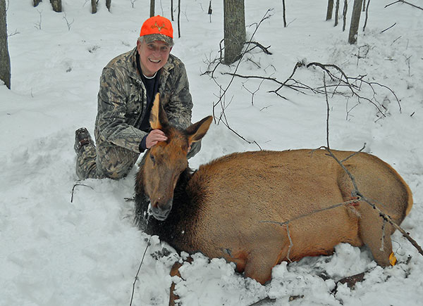 Second Michigan Elk Hunt Huge Success; 88% of Hunters Score Kills