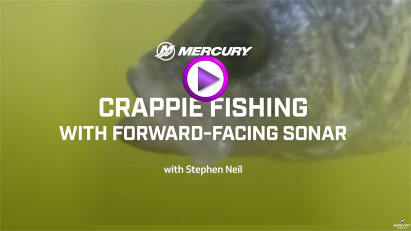 The Basics of Crappie Fishing with Forward-Facing Sonar