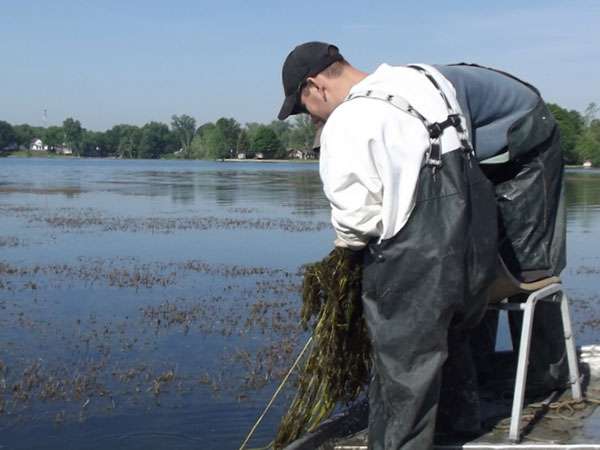 Weed Treatments Hot Button with Anglers