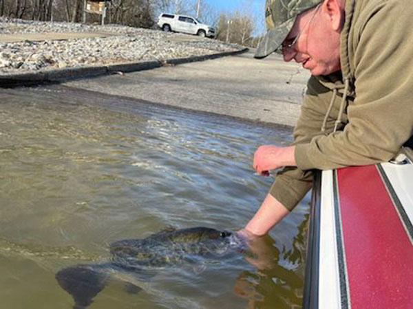Record smallmouth bass released