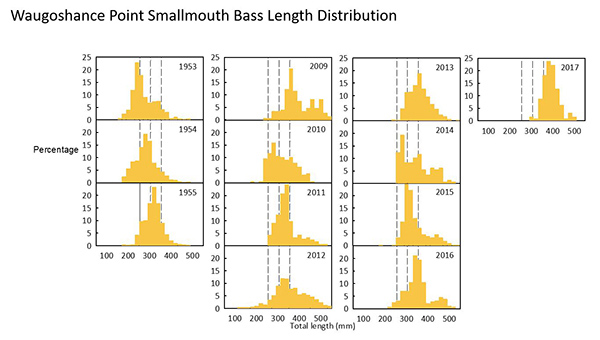 Smallmouth Bass Chart 2