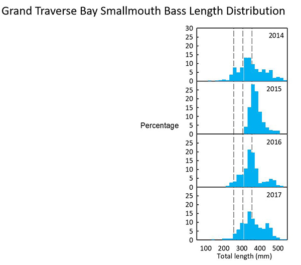 Smallmouth Bass Chart