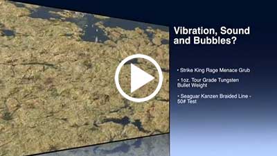 Vibration, Sound and Bubbles