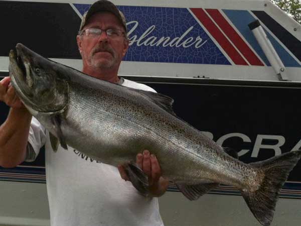 Kevin Claire of Edwardsburg, Mich. caught this 26.75-pound king salmon near St. Joe, Mich. while fishing with Dave Gizzi on his Fresh Catch boat this week. Kings are running unusually large this year. The fish was taken on a Scarpace Plug.