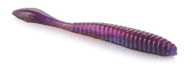 Lab Series Flat Worm
