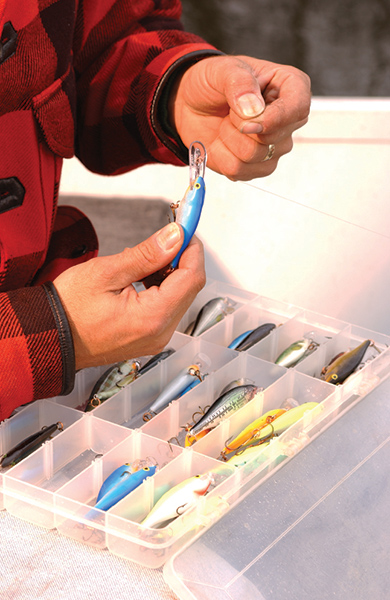 Shad Rap Continues As One of America’s Best Selling Lures