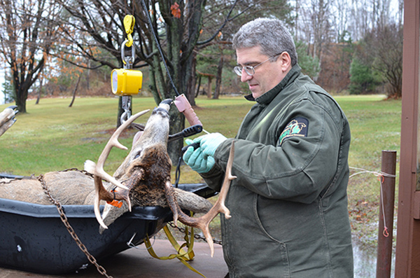The Aging Process: How and Why Deer are Aged at DNR Check Stations