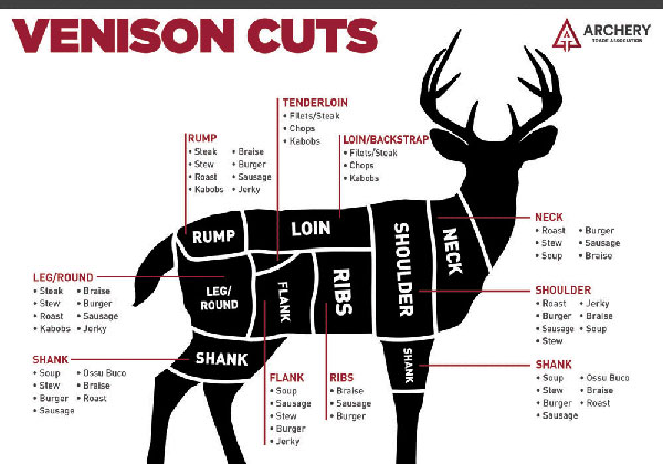 Venison Cuts