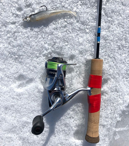 Jig and softbait for ice fishing
