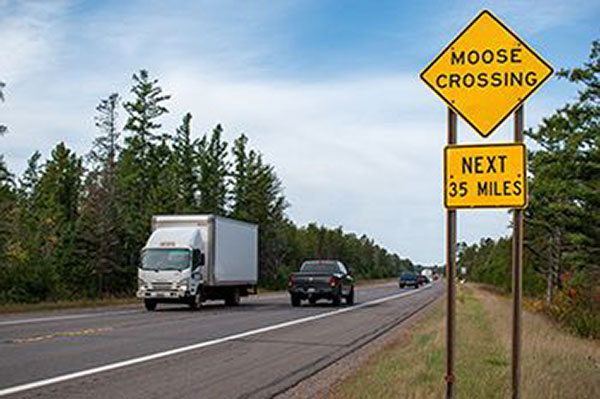 Moose Collision Hotspots