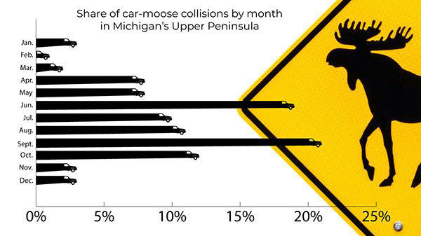 Moose Collision Stats