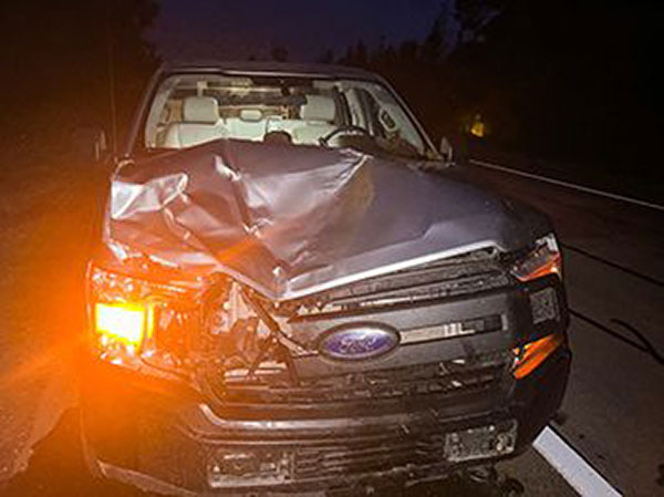 Vehicle Damage from Moose Collision