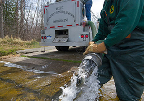 Michigan Fish Stocking