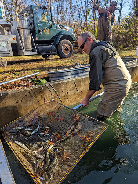 Michigan Stocked 7.8 Tons of Fish Last Fall