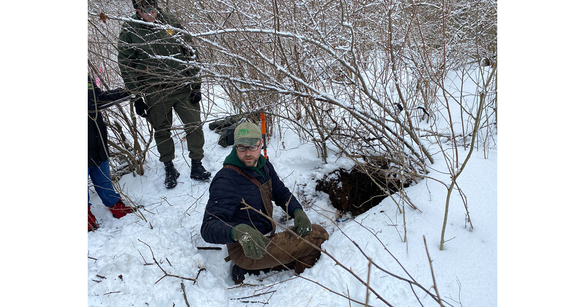 MDNR Biologists examine bear den