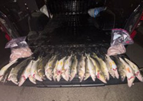 DNR Patrols on Detroit River Yields Several Arrests for Overharvest
