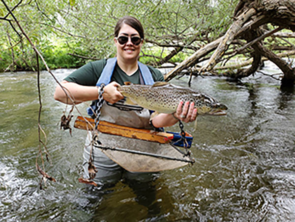 Fisheries biologist with trout