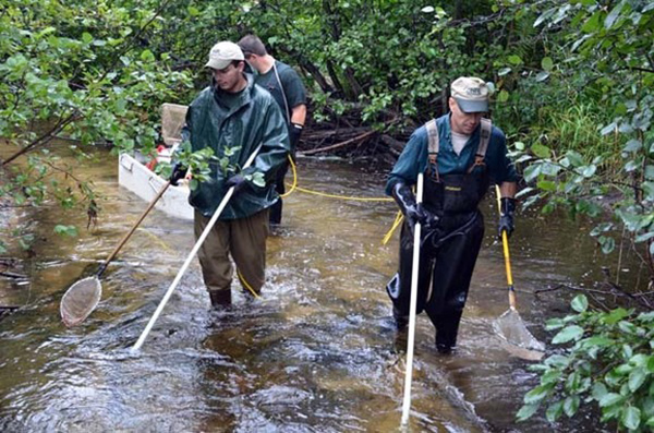 Electrofishing a Valuable Tool to Fish Managers