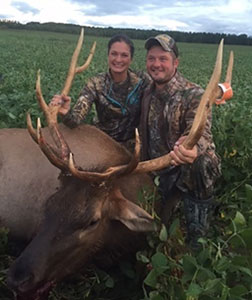 85% of Michigan’s Early Season Elk Hunters Successful