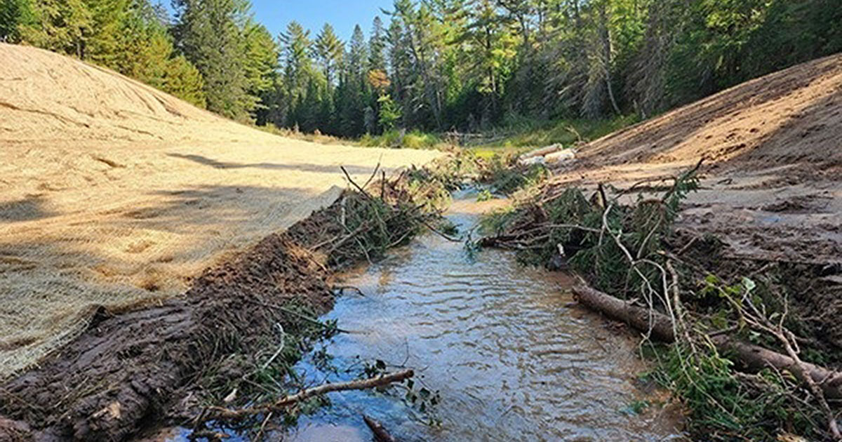 Michigan Stream Restoration
