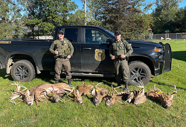Michigan DNR Officers with illegally-taken deer