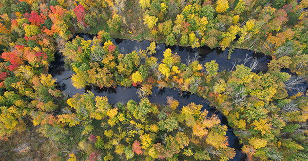 Paw Paw River State Game Area