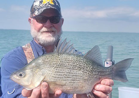 World Champ Reels in State Record White Perch