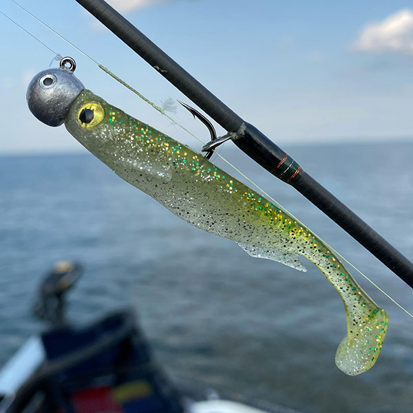 Pros Detail How They Choose Swimbaits for Bass and Walleye
