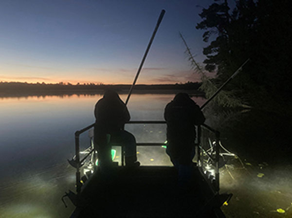 Michigan DNR Electrofishing for Walleye