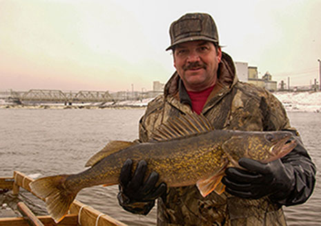 Vanishing Alewives Triggers More Walleye Production in Lake Huron