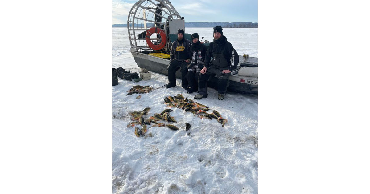 Ice fishermen target yellow perch