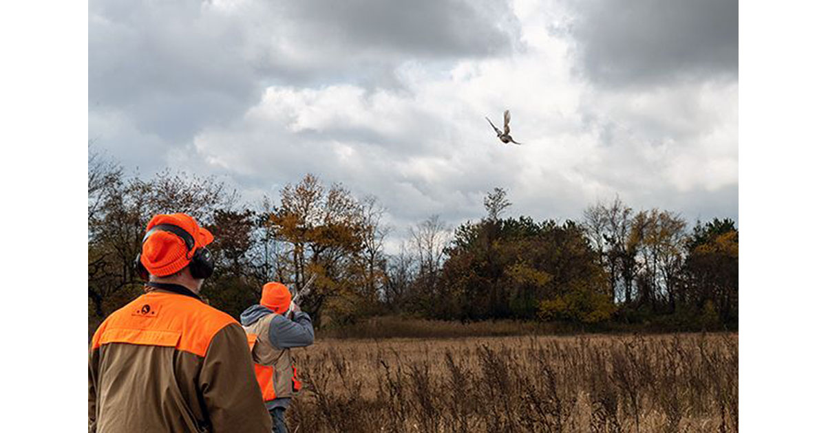 Michigan Pheasant Season