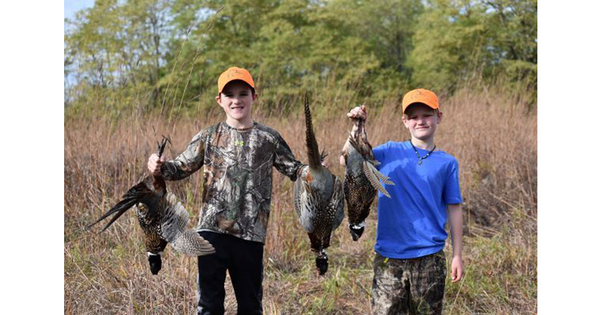 Youth Pheasant Hunt