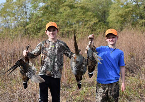 Register Now for Youth Pheasant in Kalamazoo County