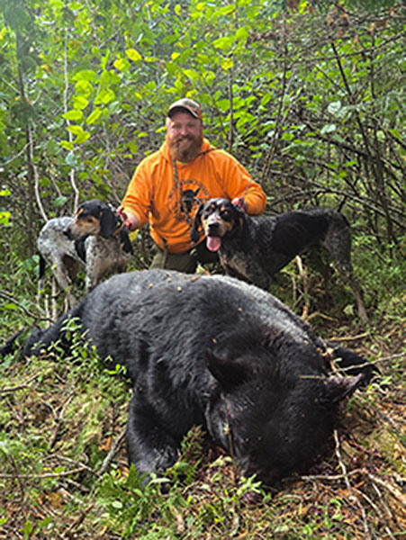 Bear hunter with hounds