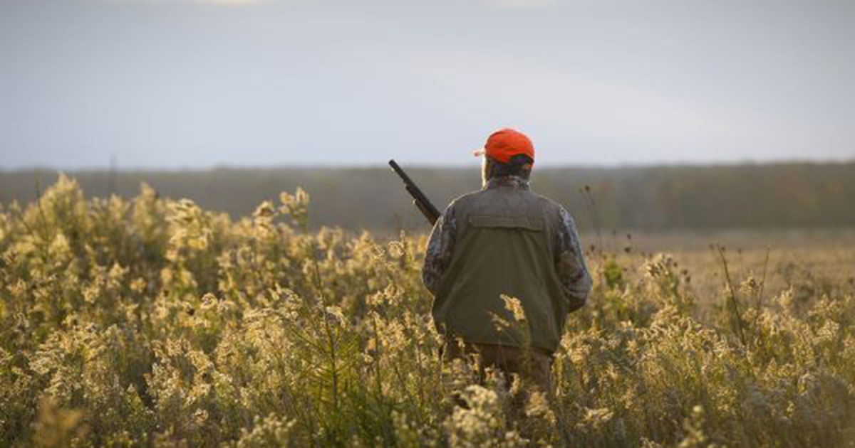 Southern Michigan Pheasant Hunting