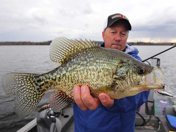 Late Fall Crappies