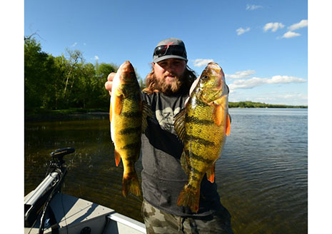 Finesse Bass Rigs for Crappie, Bluegill and Panfish Action