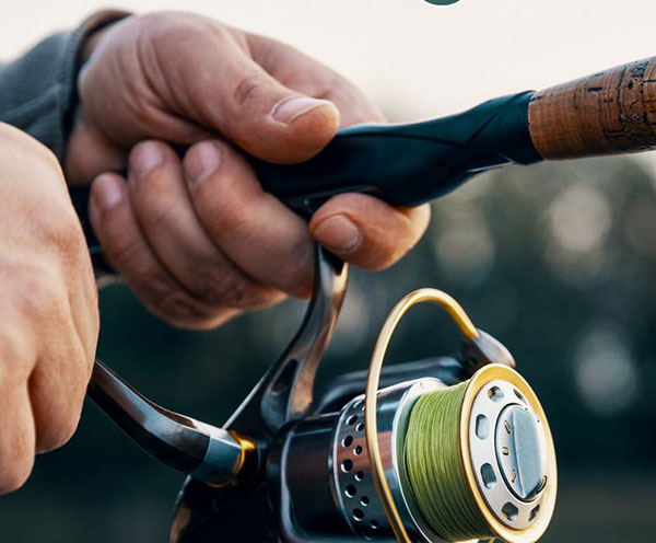 Spinning Reel