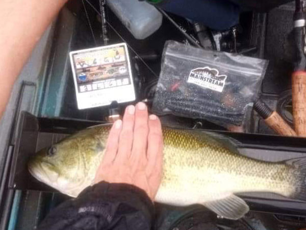 Cody Breseman, Union, Mich. - Big Bass