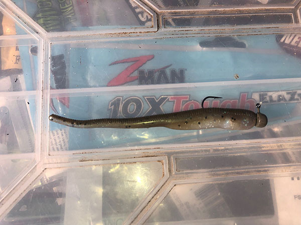 Z-Man Finesse ShadZ on a 1/10-ounce Tungsten Ned Head from Motley Fishing