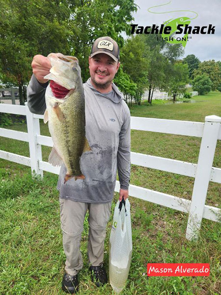 Mason Alvarado - Big Bass