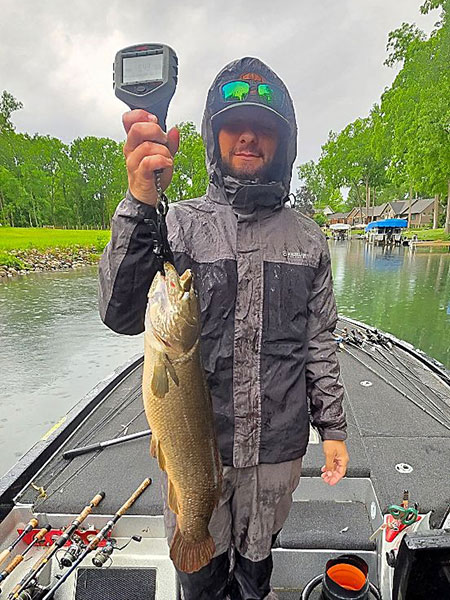 CJ Stamm - Critter
