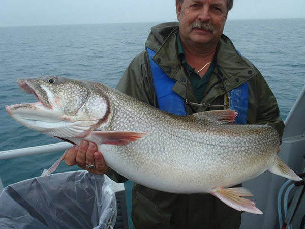 Indiana Lake Trout Bag Limit Increases in April 